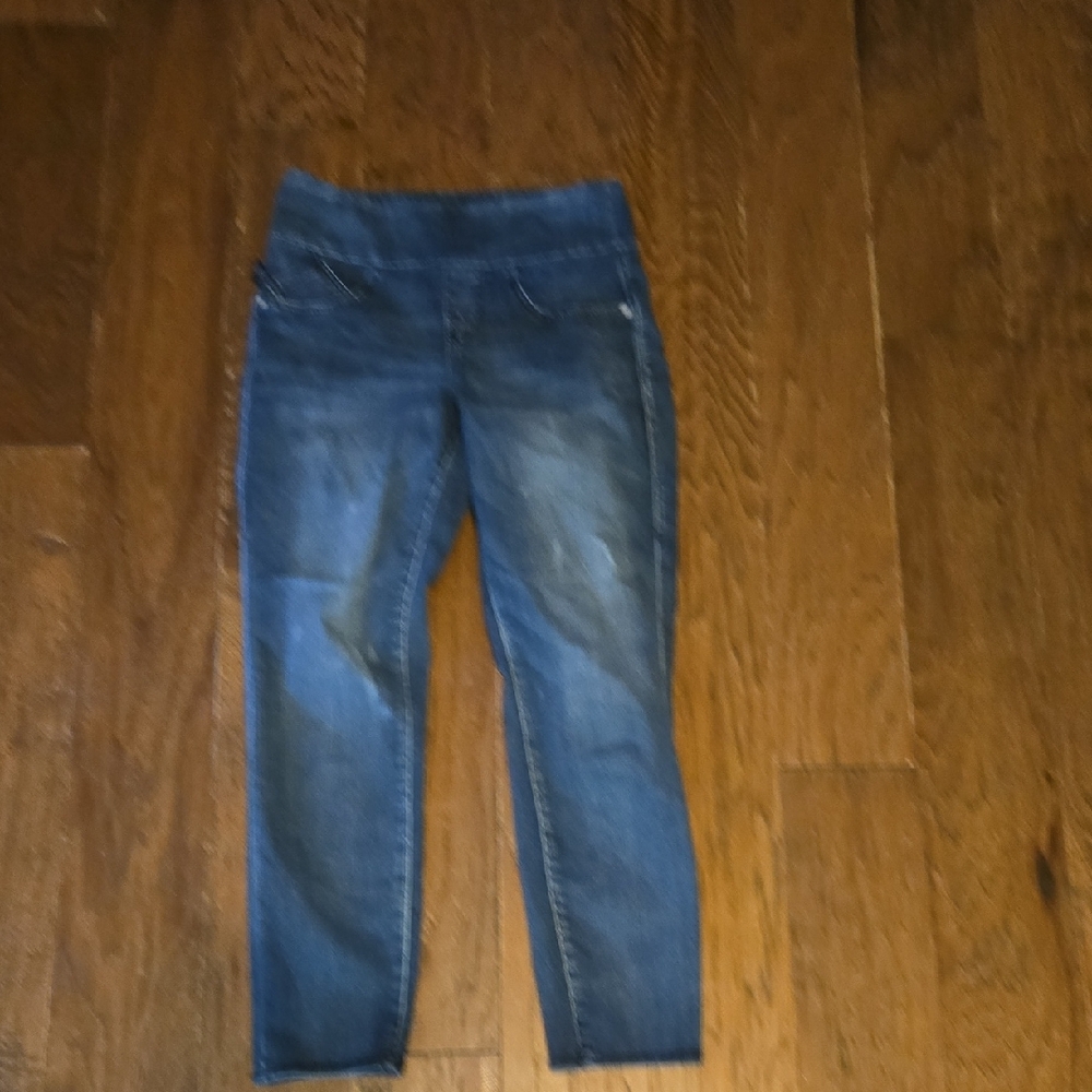 Rock & Republic Dark Blue Jeggings